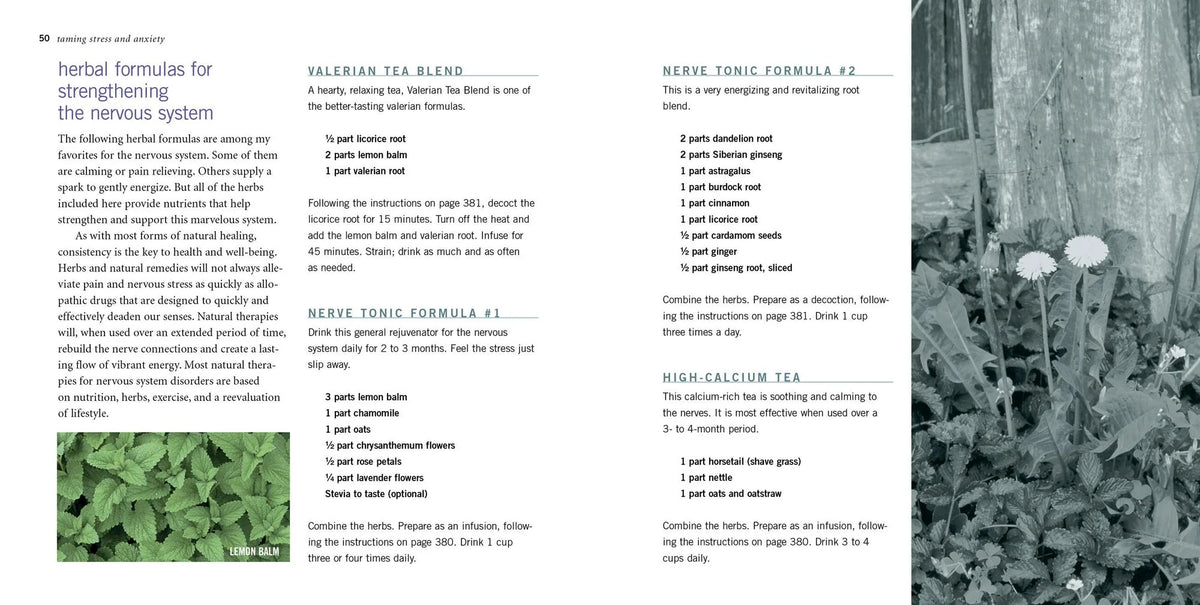 Rosemary Gladstar's Herbal Recipes for Vibrant Health