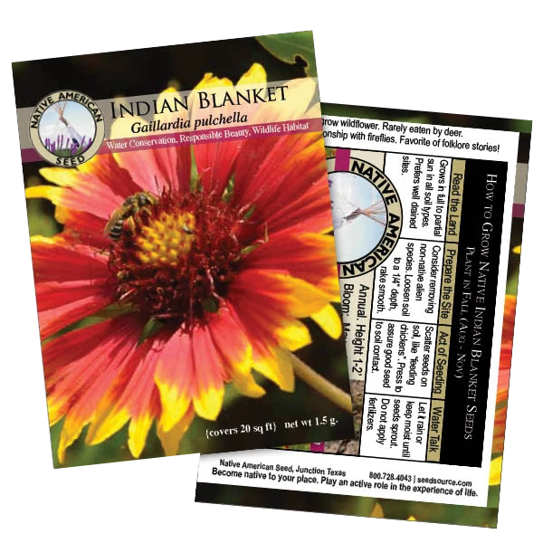 Indian Blanket
