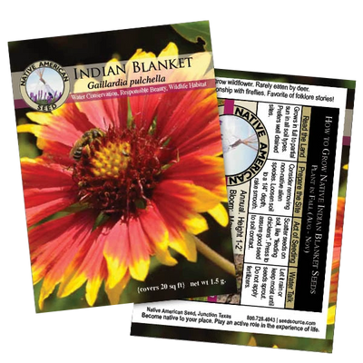 Indian Blanket
