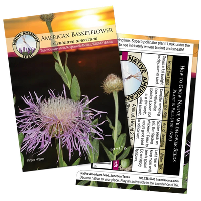 American Basketflower