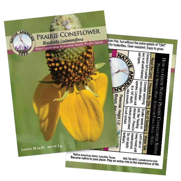 Prairie Coneflower