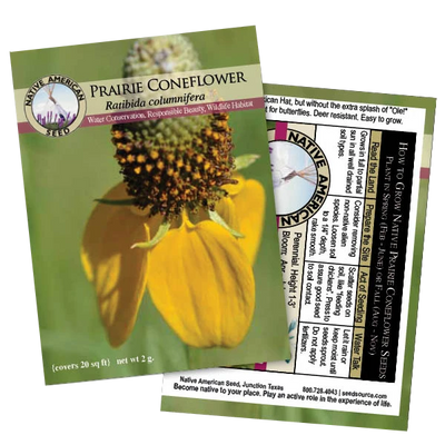 Prairie Coneflower