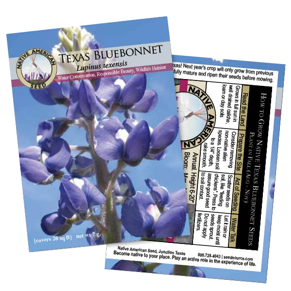 Texas Bluebonnet