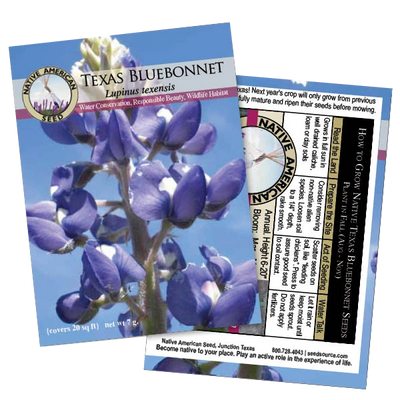 Texas Bluebonnet